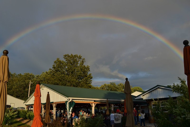 Belmont Vineyards