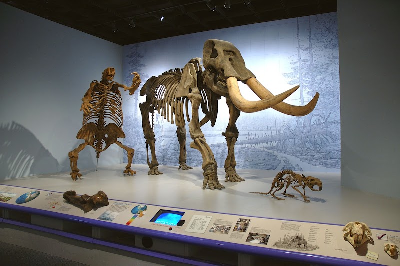 Illinois State Museum in Springfield, Illinois