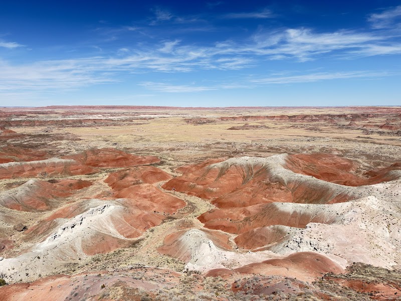 Petrified Forest NP in Petrified Forest National Park, Arizona