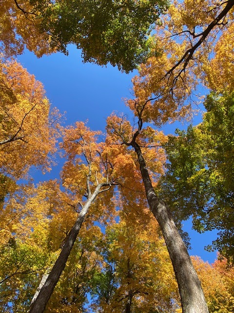 Sugar Grove Nature Center in McLean, Illinois