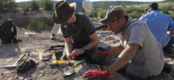 Mesalands Dinosaur Museum and Natural Sciences Laboratory in Tucumcari, New Mexico
